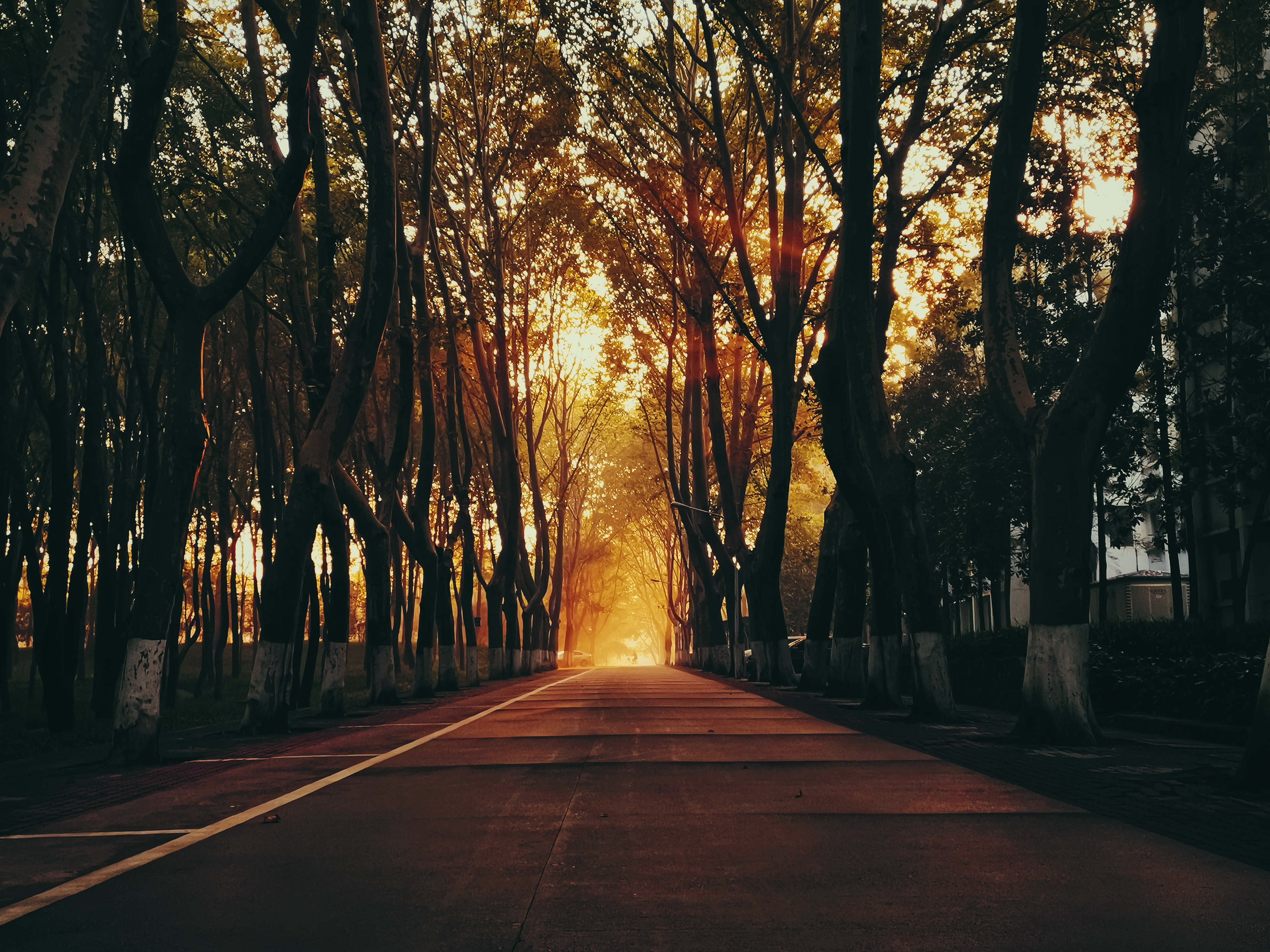 a dark street with oringe glimmer,thr light throught this street